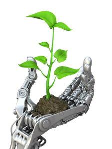 E-commerce: Launching for $10K or less Combining tea and technology