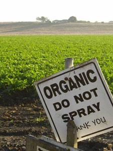 Selling Organic: Pros and cons Organic Field