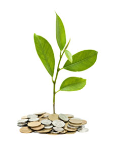 The Cost of Doing Business What will it cost to grow your dream?