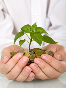 Getting started in the tea business Can I make money in tea?