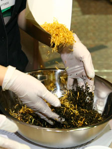 Getting into the tea business Pt. 2 Hands on tea training