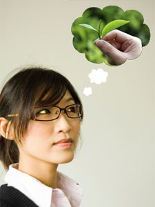 Pursuing your dreams: Next steps What is your dream?
